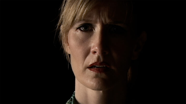 inland empire - David Lynch